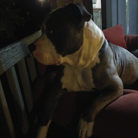 Meet your Posher, Paige - Picture 1 of 1